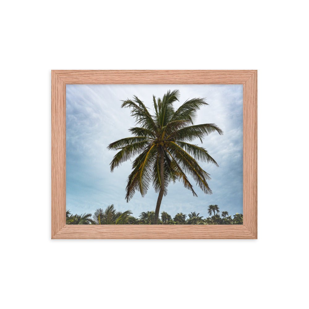 Bahamian Palm Poster - beachfrontdrifter