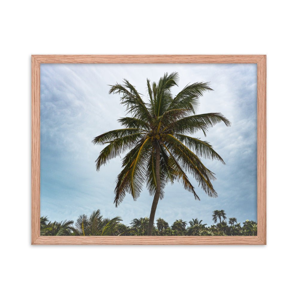 Bahamian Palm Poster - beachfrontdrifter