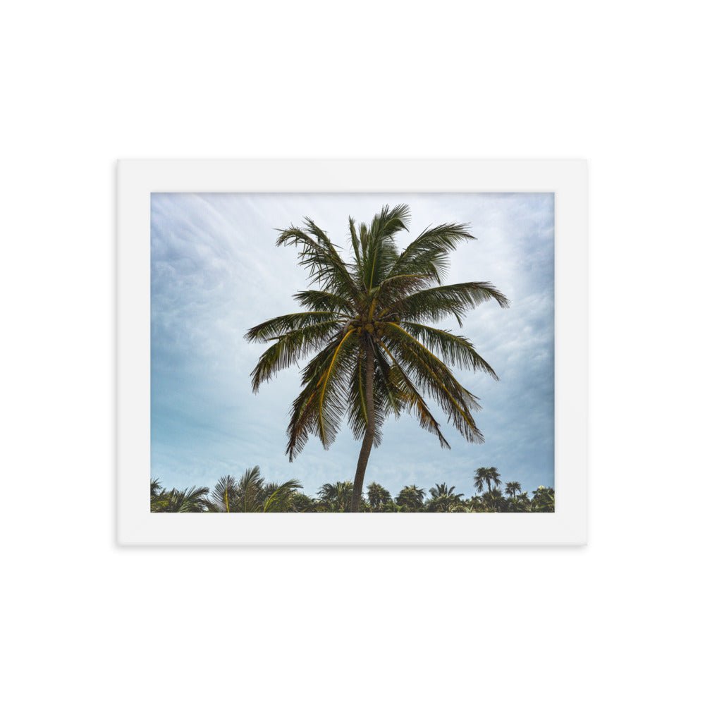 Bahamian Palm Poster - beachfrontdrifter