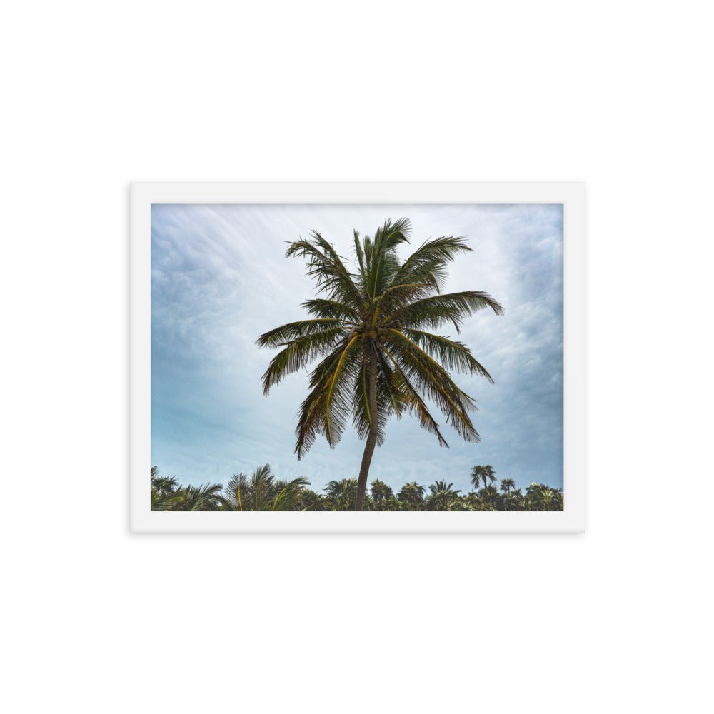 Bahamian Palm Poster - beachfrontdrifter