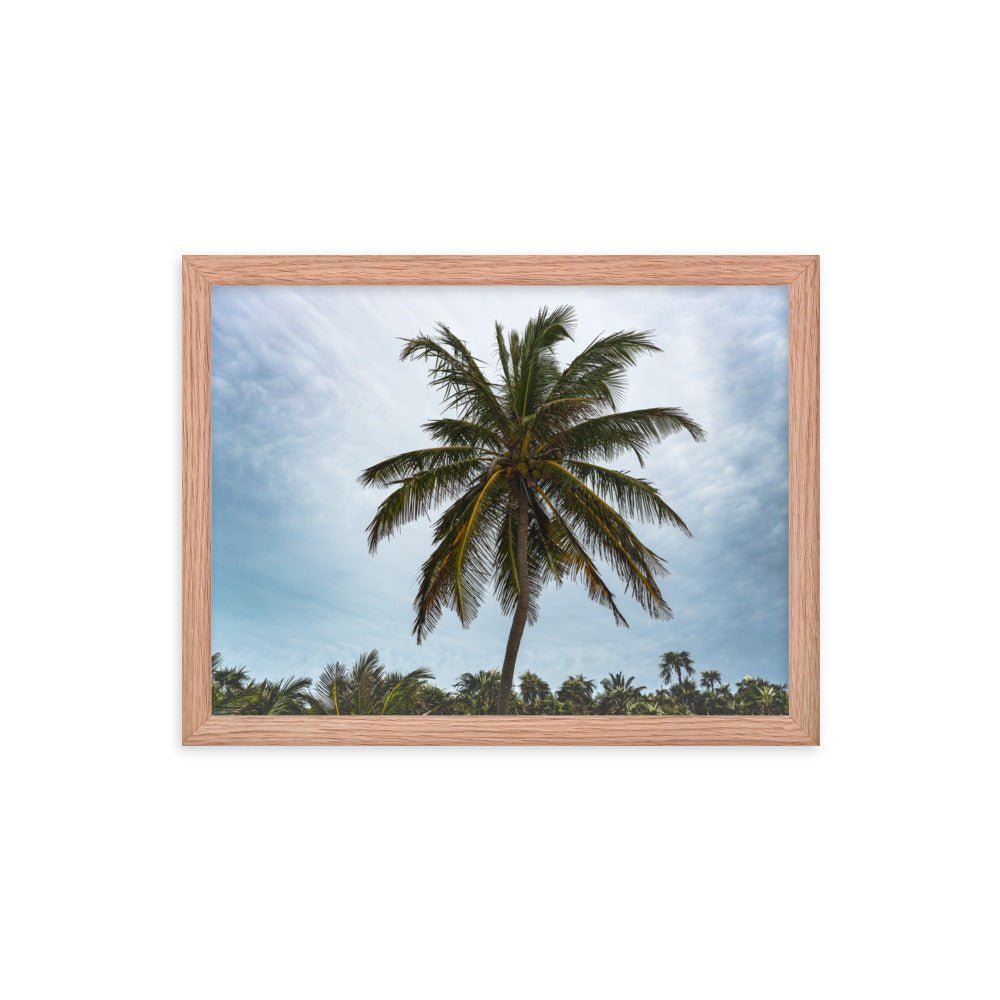 Bahamian Palm Poster - beachfrontdrifter