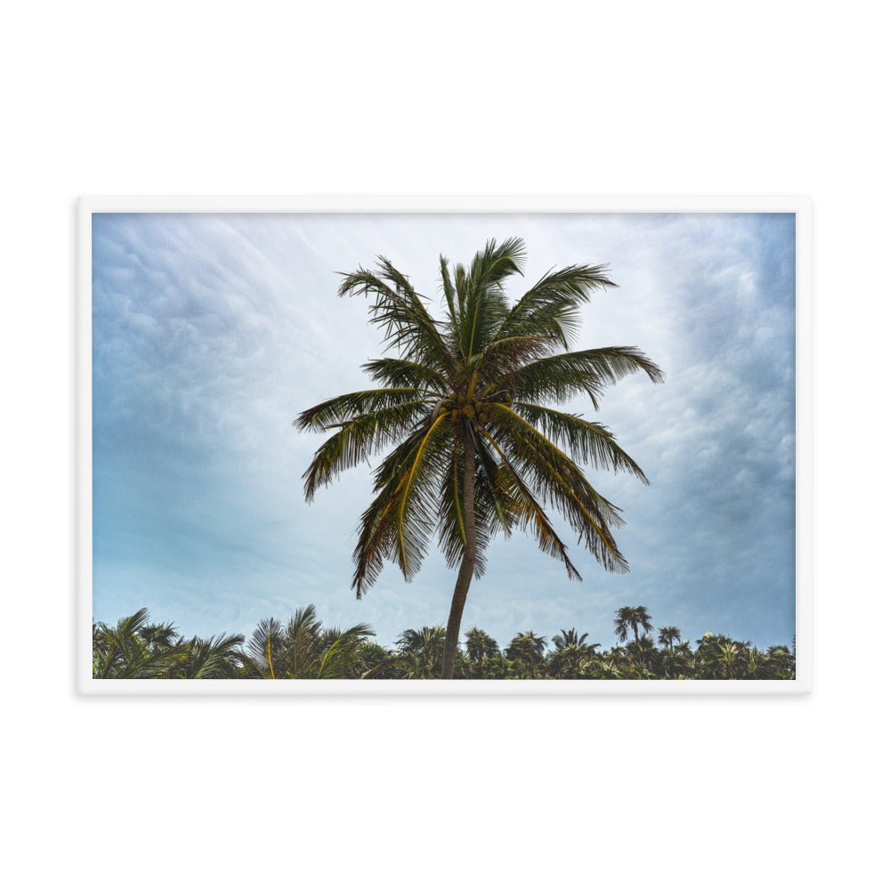 Bahamian Palm Poster - beachfrontdrifter